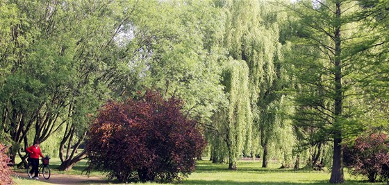 Mezi majetek rodiny Riedlových patilo slavné arboretum v Bílé Lhot (ilustraní foto)