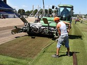 Pokldka novho trvnku na rekonstruovanm stadionu ve truncovch sadech v