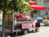 Farmsk trh - Jiho z Podbrad (4/6/2011)