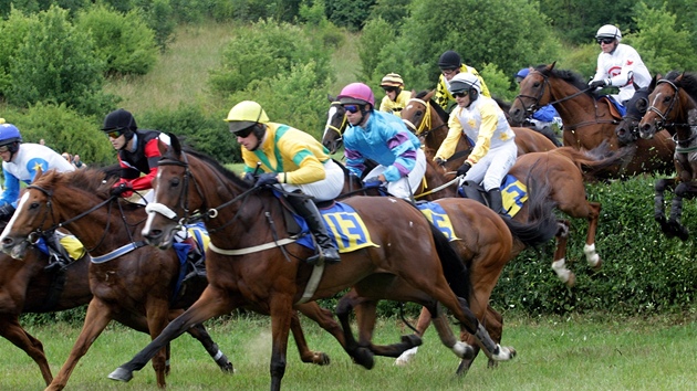 Dostihy ve Sluovicích. Steeplechase 4200 m.