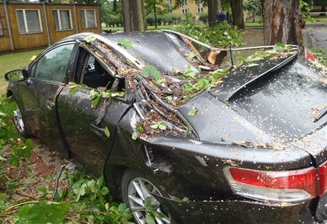 V arelu nemocnice v Opav spadl strom na stojc Toyotu Avensis. Zcen