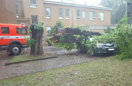 V arelu nemocnice v Opav spadl strom na stojc Toyotu Avensis. Zcen