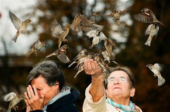 Betislav Oler, Paí