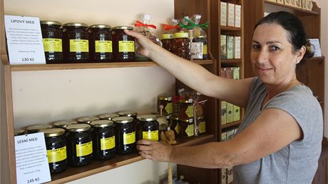 Velai z Olomouckého kraje by letos mli mít mnohem více medu ne vloni, kdy výnosm nepálo poasí. (Ilustraní snímek)