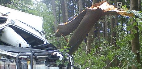 idi dodávky zemel na Chrudimsku poté, co na auto spadl strom. (8. 7. 2011)