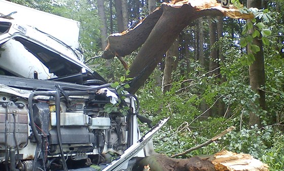 idi dodávky zemel na Chrudimsku poté, co na auto spadl strom. (8. 7. 2011)