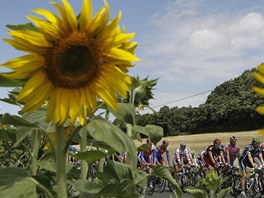 cyklistick peloton v prbhu 7. etapy Tour de France