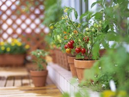 Pokud mte balkon orientovan na zpadn stranu, mete si pochutnvat na