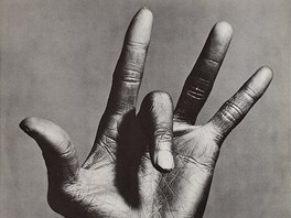 Miles Davis: Tutu (z oblky alba)
