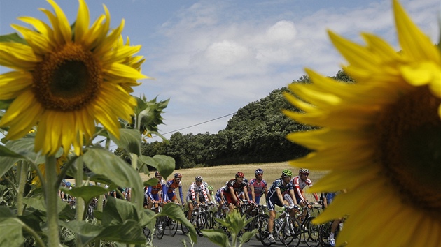 Umní zemdlc u tratí Tour de France