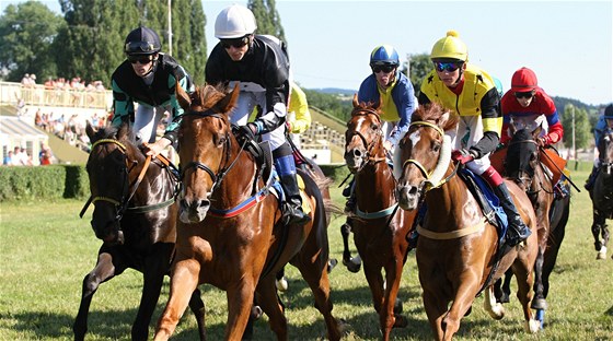 Cena hejtmana Zlínského kraje na 1 800 m (rovina III. kategorie na 1 800 m pro