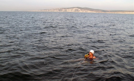 Plavkyn, která se pokouí zdolat kanál La Manche. Ilustraní snímek.