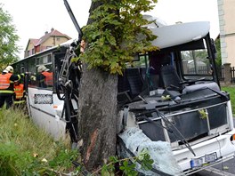 Linkov autobus narazil v pondl rno do stromu ve Star Roli na Karlovarsku.