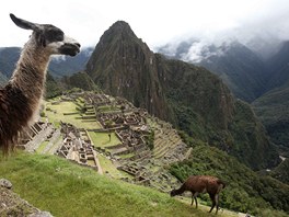 Celý svt i Peruánci tradin spojují "objevení" skalního msta Machu Picchu se...