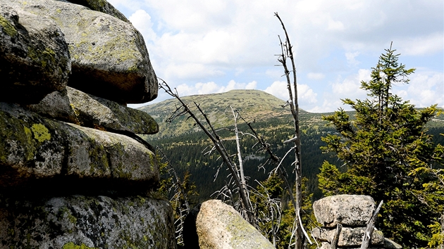 Pohled od Ptaího kamene na Vysoké Kolo