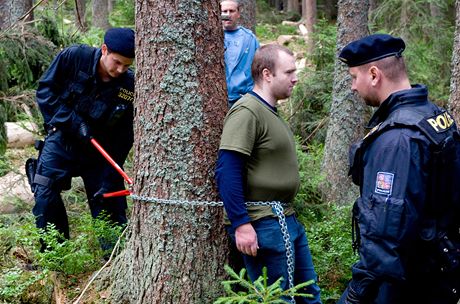 Devorubci dnes opt chtjí kácet u Ptaího potoka na umav. Jejich práci se snaí blokovat aktivisté, proti nim zejm i dnes zasáhne policie.