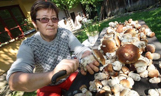 Podobný úlovek by kteréhokoliv soutícího pasoval do role favorita mistrovství. Ilustraní foto