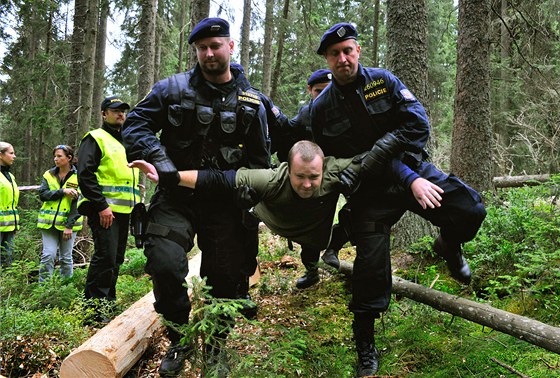 Blokáda kácení strom u Ptaího potoka na umav v lét 2011. 