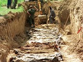 Odkrvn hromadnho hrobu chorvatskch vojk a civilist z Vukovaru. Archivn