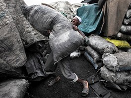 Lagos, Nigérie. Tanko Abduláhí vzpírá pytel uhlí, které se v této africké zemi stává stále ádanjí komoditou. Ceny petroleje, který místní dosud pouívali k vaení a topení, stále stoupají a mnoho rodin nyní musí pipravovat jídlo na oteveném ohni. 