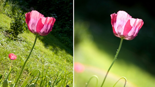ŠPATNĚ (vlevo): U tohoto snímku bylo zvoleno clonové číslo 22 a záběr je ŠPATNĚ (vlevo): U tohoto snímku bylo zvoleno clonové číslo 22 a záběr je