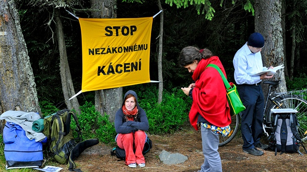 Blokáda kácení strom u Ptaího potoka na umav v lét 2011. 