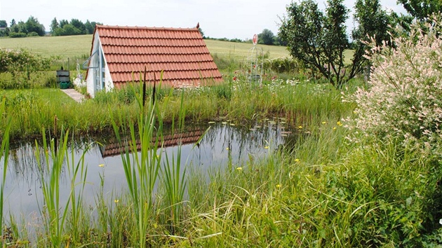 Pohled pes koupací biotop na multifunkní zahradní domek, který pímo navazuje