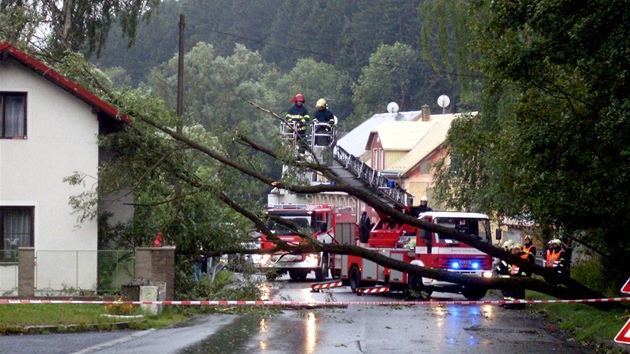 Na rodinný dm v Horním áru spadl vzrostlý strom. (20. ervence 2011)