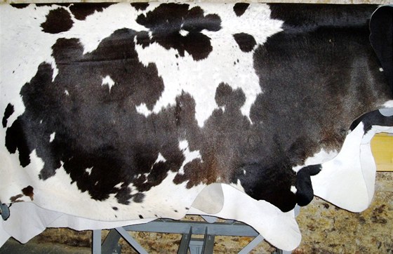 Vzorek kravské ke firmy Karo Leather a.s. Spolenost chce do dvou let zaít