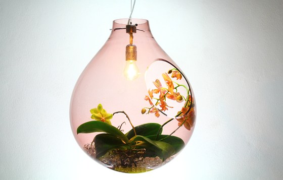 Svítidlo Simple lze doplnit teba o orchideje.