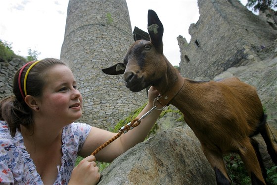 Miss koza 2011 se stala Líza z Nákí, na snímku s majitelkou Kamilou