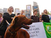 Nejen dti a krovec, na demonstraci proti kcen strom na umav se s