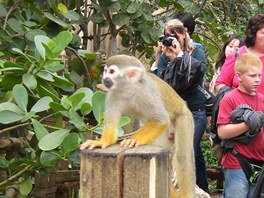 Arel Gondwanaland v lipsk zoo je nejvt expozic detnho pralesa v Evrop