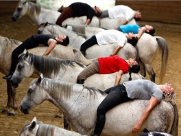 Jezdci na koních nacviují v dokonalé harmonii své pedstavení, které chtjí