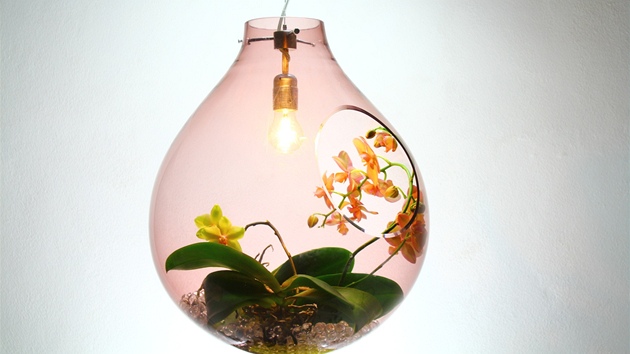 Svítidlo Simple lze doplnit teba o orchideje.