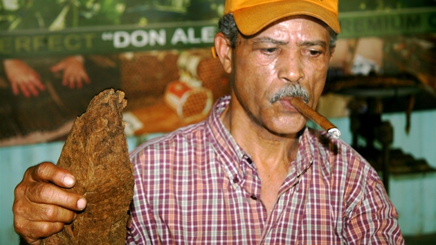 Fermentované usuené tabákové listy