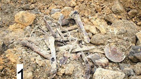 Není vyloueno, e kosti, které objevil traktorista, patily vojákovi z II. svtové války. (ilustraní foto)