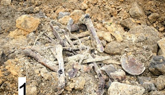 Není vyloueno, e kosti, které objevil traktorista, patily vojákovi z II. svtové války. (ilustraní foto)