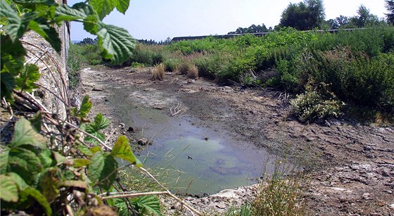 Na zahrad Pavlínkových se má odbagrovat kontaminovaná vrstva zeminy. (Ilustraní snímek)