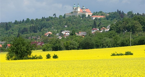 POD DOHLEDEM CÍRKVE. V Olomouckém kraji se církevní restituce týkají více ne patnácti tisíc hektar les a polí. (Ilustraní snímek)