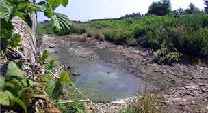 Na zahrad Pavlínkových se má odbagrovat kontaminovaná vrstva zeminy. (Ilustraní snímek)