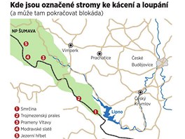 Mapka mst, kde jsou oznaen stromy ke kcen a loupn.