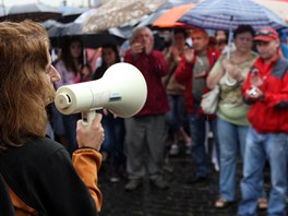 Demonstrace v Novm Boru, kterou vyvolal brutln tok skupinky Rom na hosty