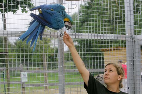 Zoo ve Vtrovech je nejvtí v jiních echách, slavnostn byla otevena na konci srpna.