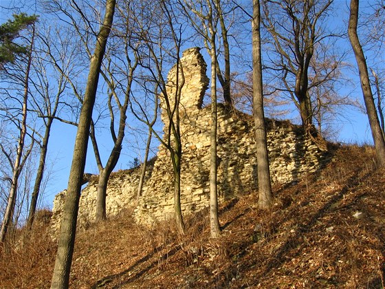 Torzo zíceniny v Brandýce nad Orlicí, které spolek postupn zachrauje.