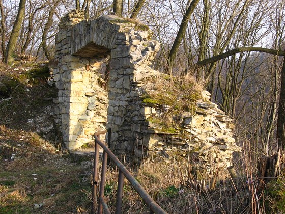 Jednou z památek, kterou se snaí nadenci zachránit je hrad v Brandýse nad Orlicí.