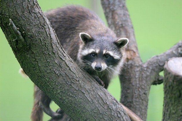 V sobotu byla ve Vtrovech u Tábora otevena nová zoologická zahrada.