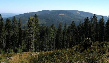 Smrina na umav, severní svahy hory spadají do I. zóny NP umava, opaná