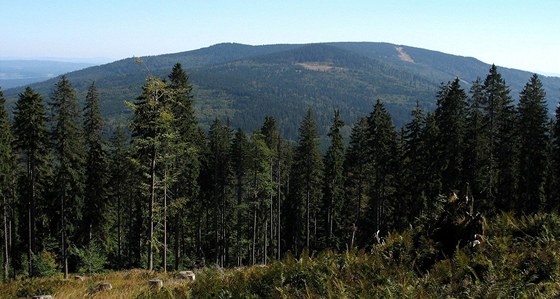 Smrina na umav, severní svahy hory spadají do I. zóny NP umava, opaná