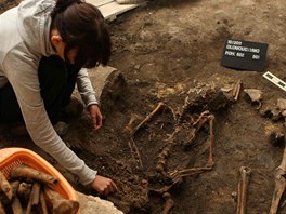 Archeologov objevili u budoucho novho vchodu do olomouckho Vlastivdnho